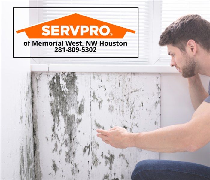 Safe Mold Removal, DYI Mold Removal, best steps for removing mold in a home