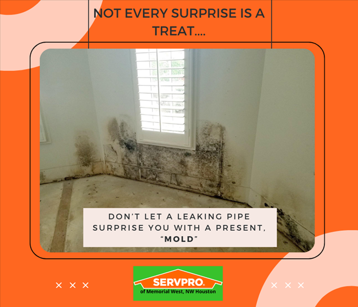 Leaking Pipes can lead to Mold Growth on walls in Houston, Texas and surrounding areas.