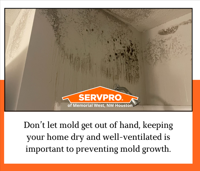 mold removal Houston, mold damage, mold remediators, Mold growth in bathroom 