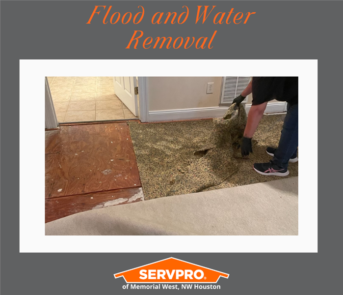 Flood and Water Damage removal in Houston, Texas Home