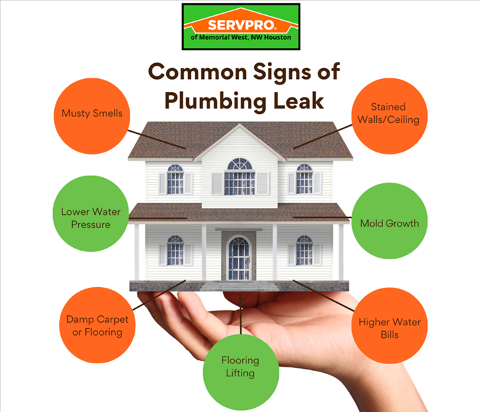 Common Signs of Plumbing Leak, Water Damage