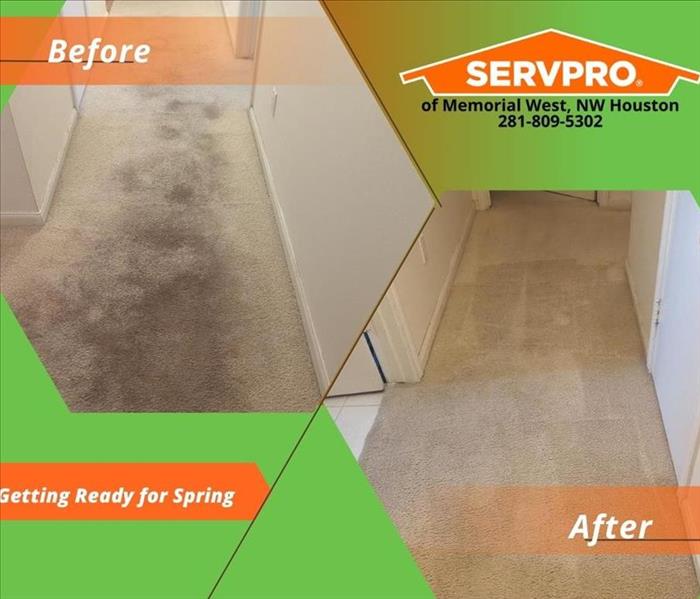 Stubborn Carpets Stains Should be Left to the Experts 