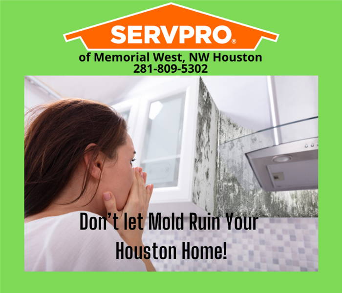 Houston Home with Mold