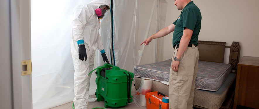 Northwest Houston, TX mold removal process