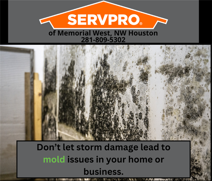 Storm Damage Can Lead to Mold Damage if Not Addressed Promptly 